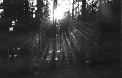 Sagittarius (GER) : Im Zeichen der Sonne